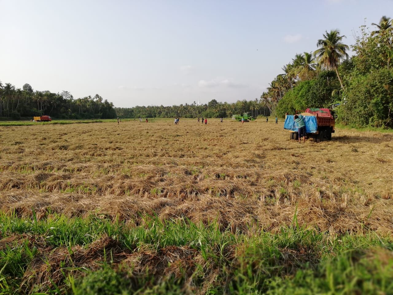 കോള്‍നില നാശത്തിന്റെ പേരില്‍ സര്‍ക്കാര്‍ സഹായം അനര്‍ഹമായി കൈപ്പറ്റുന്നതായി പരാതി