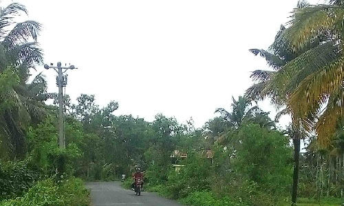 പൊയ്യയില്‍ തെരുവ് വിളക്കുകള്‍ തെളിയുന്നില്ലെന്ന് പരാതി