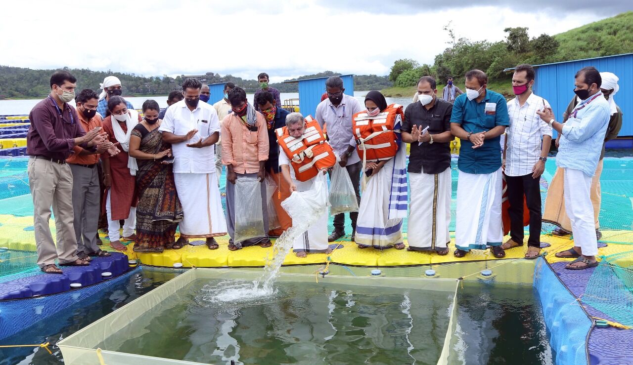 ബാണാസുര സാഗര്‍ അണക്കെട്ടില്‍ കൂട് മത്സ്യകൃഷി പദ്ധതി തുടങ്ങി