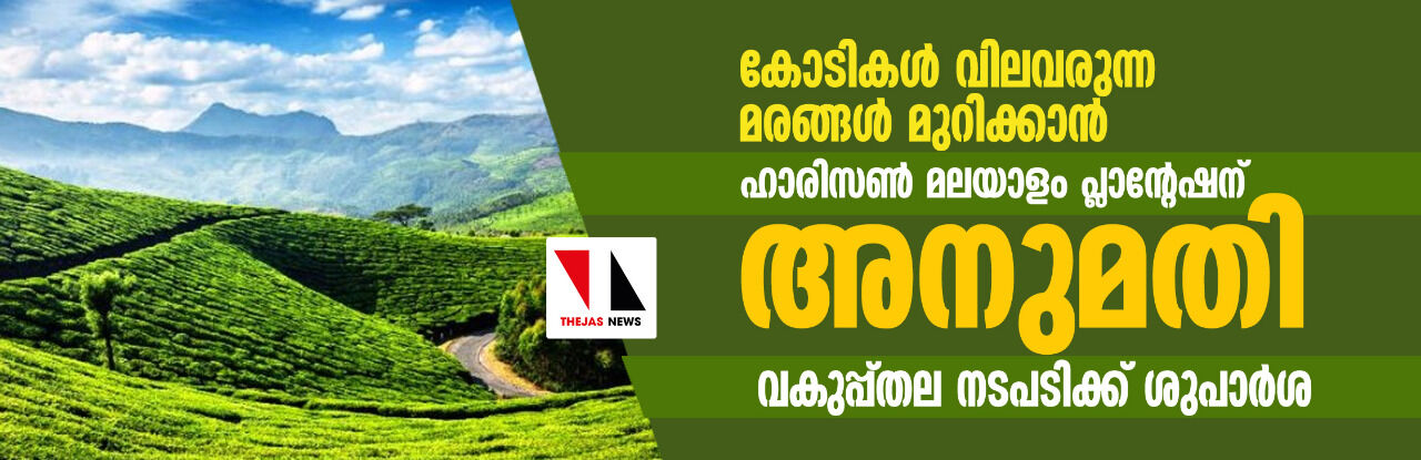 കോടികള്‍ വിലവരുന്ന മരങ്ങള്‍ മുറിക്കാന്‍ ഹാരിസണ്‍ മലയാളം പ്ലാന്റേഷന് അനുമതി; വകുപ്പ്തല നടപടിക്ക് ശുപാര്‍ശ