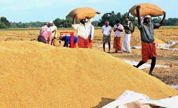 സംസ്ഥാനത്ത് കർഷക ക്ഷേമബോർഡ് രൂപീകരിച്ചു; നെല്ലുസംഭരണത്തിന് സഹകരണ സംഘങ്ങൾ