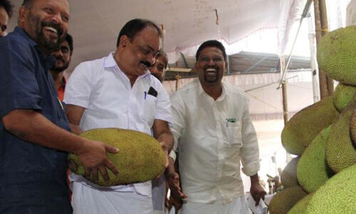 ചക്ക: ചെറുകിട സംരംഭകര്‍ക്ക് പരിശീനവും സാങ്കേതികവിദ്യയും നല്‍കണമെന്ന് ആവശ്യം