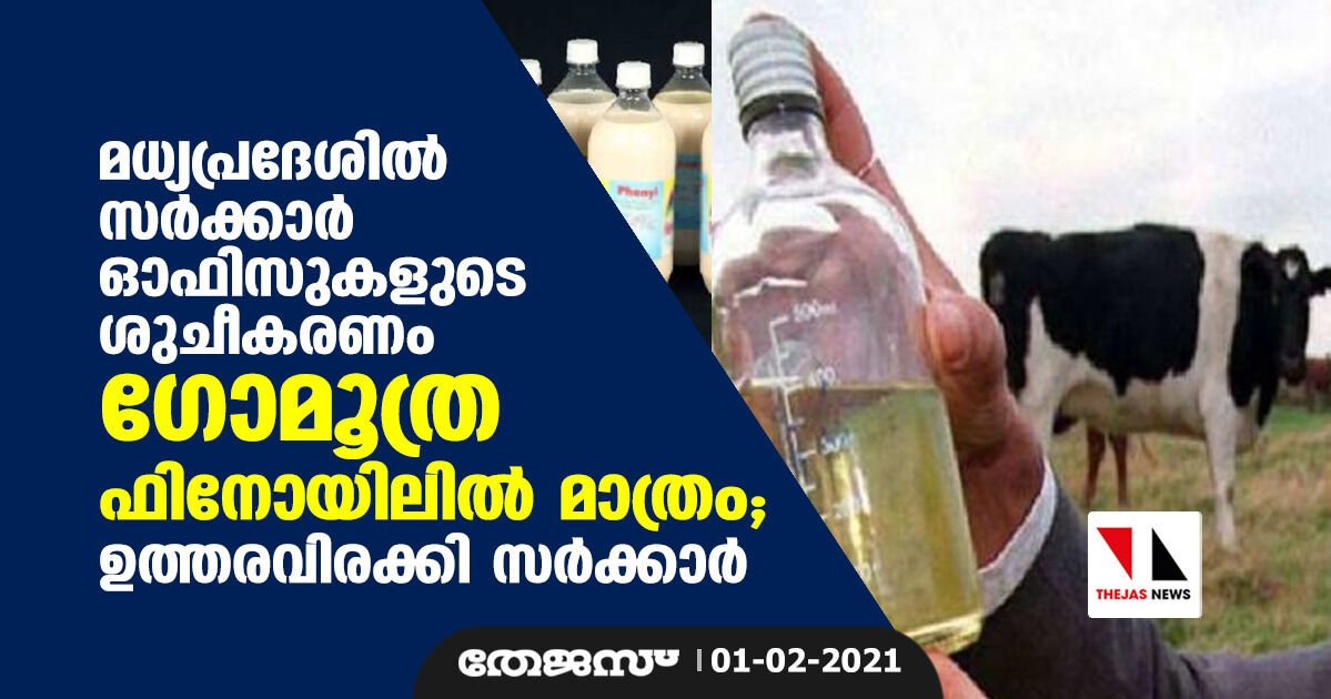 മധ്യപ്രദേശില്‍ സര്‍ക്കാര്‍ ഓഫിസുകളുടെ ശുചീകരണം ഗോമൂത്ര ഫിനോയിലില്‍ മാത്രം; ഉത്തരവിരക്കി സര്‍ക്കാര്‍