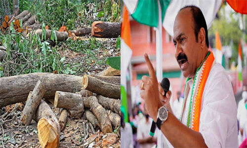 മരം മുറി; വസ്തുതാന്വേഷണത്തിന് യുഡിഎഫ് മൂന്നംഗ വിദഗ്ധ സമിതി