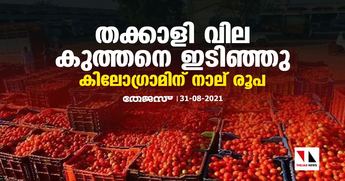 തക്കാളി വില കുത്തനെ ഇടിഞ്ഞു; കിലോഗ്രാമിന് നാല് രൂപ