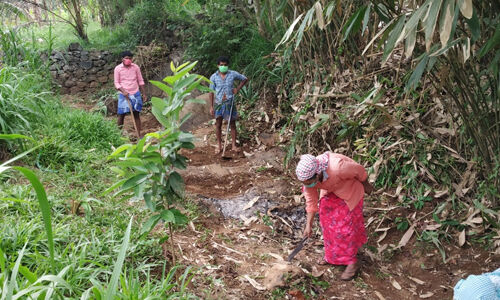 മഴ: ഇടുക്കിയില്‍ തൊഴിലുറപ്പ് ജോലികള്‍ നിര്‍ത്തിവയ്ക്കാന്‍ നിര്‍ദ്ദേശം