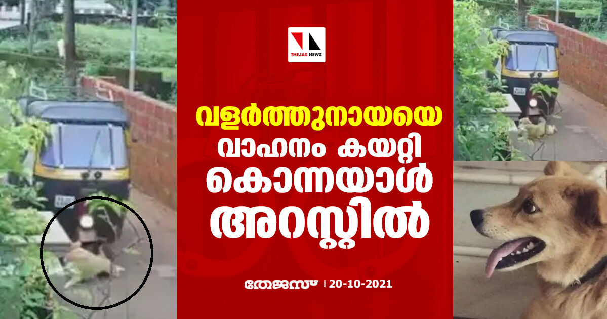 വളർത്തുനായയെ വാഹനം കയറ്റി കൊന്നയാള്‍ അറസ്റ്റിൽ