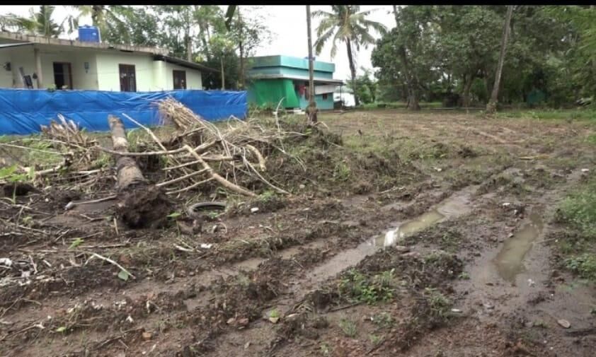 പാമ്പു കടിയേറ്റ് മൂന്ന് വയസുകാരി മരിച്ചസംഭവം: കുറ്റിക്കാടുകള്‍ നീക്കം ചെയ്തു