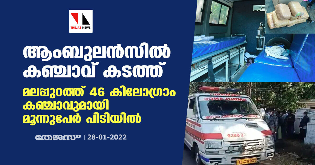 ആംബുലന്‍സില്‍ കഞ്ചാവ് കടത്ത്; മലപ്പുറത്ത് 46 കിലോഗ്രാം കഞ്ചാവുമായി മൂന്നുപേര്‍ പിടിയില്‍