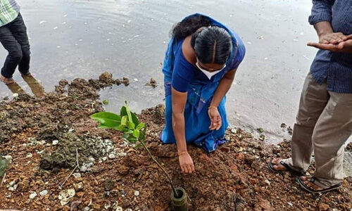 മാളയില്‍ തൊഴിലുറപ്പ് പദ്ധതിയിലുള്‍പ്പെടുത്തി കണ്ടല്‍ക്കാടുകള്‍ നട്ടുപിടിപ്പിക്കുന്ന പദ്ധതിക്ക് തുടക്കം കുറിക്കുന്നു