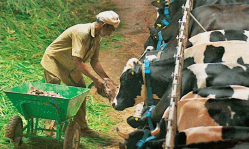 ക്ഷീര കര്‍ഷക സംഗമം നടത്തി