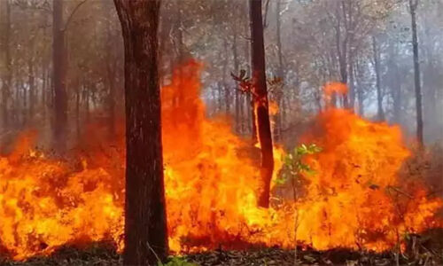 പാലോട് പെരിങ്ങമ്മല വനമേഖലയില്‍ തീ പടരുന്നു