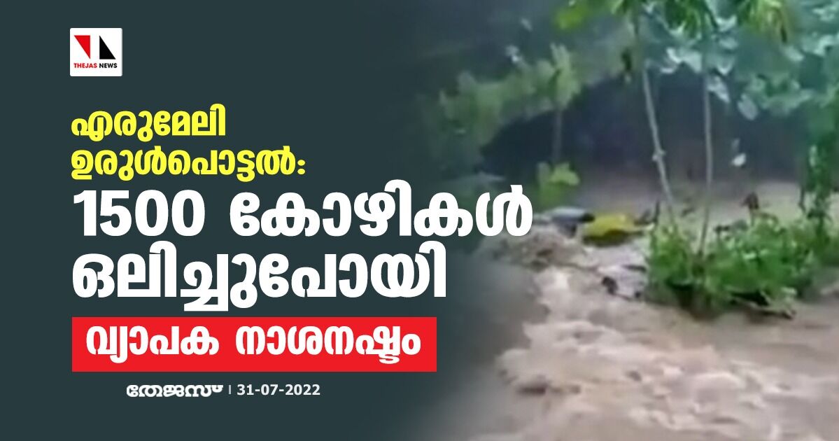 എരുമേലി ഉരുൾപൊട്ടൽ; 1500 കോഴികൾ ഒലിച്ചുപോയി; വ്യാപക നാശനഷ്ടം