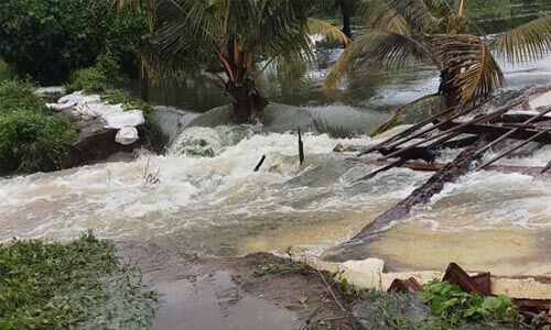 കുട്ടനാട്ടിലെ പാടശേഖരത്ത് മടവീഴ്ച