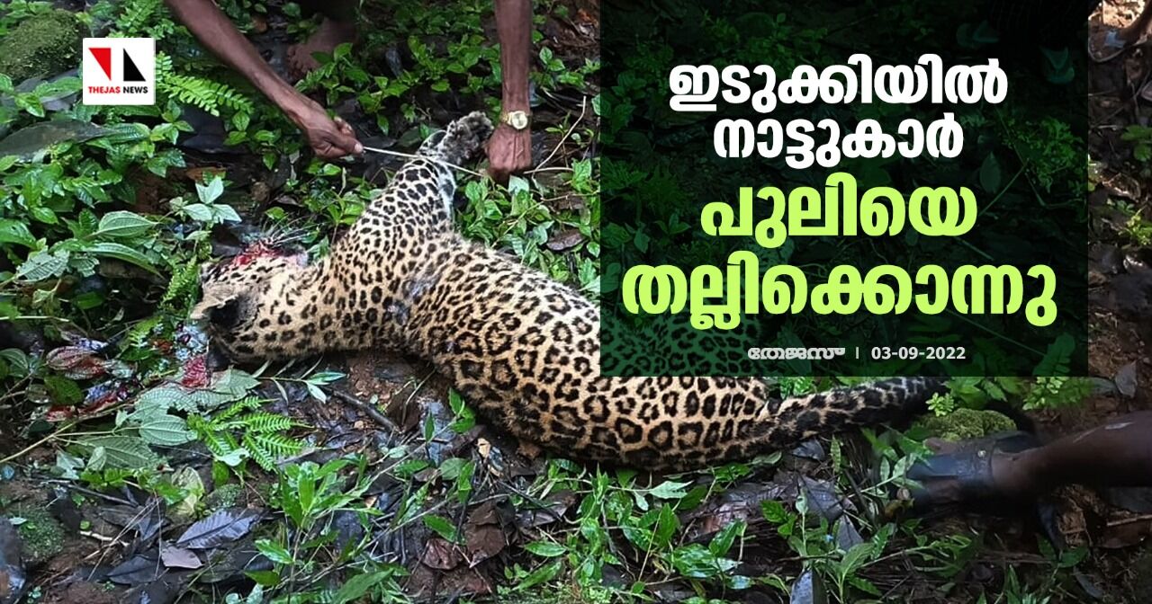 ഇടുക്കിയില്‍ നാട്ടുകാര്‍ പുലിയെ തല്ലിക്കൊന്നു