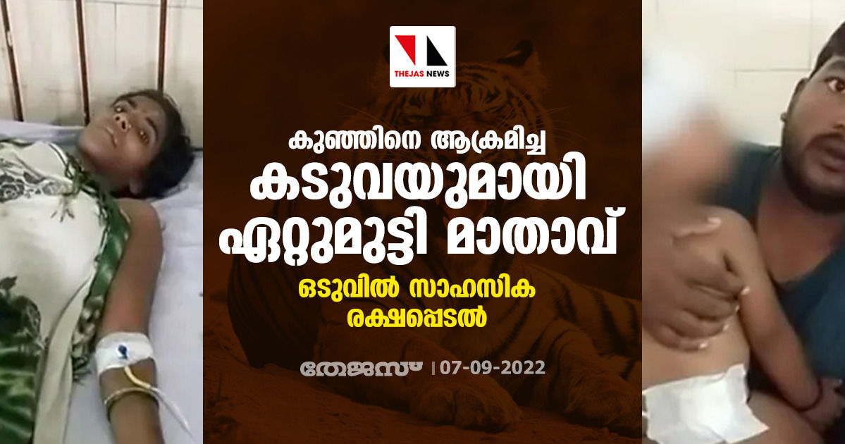 കുഞ്ഞിനെ ആക്രമിച്ച കടുവയുമായി ഏറ്റുമുട്ടി മാതാവ്; ഒടുവില്‍ സാഹസിക രക്ഷപ്പെടല്‍