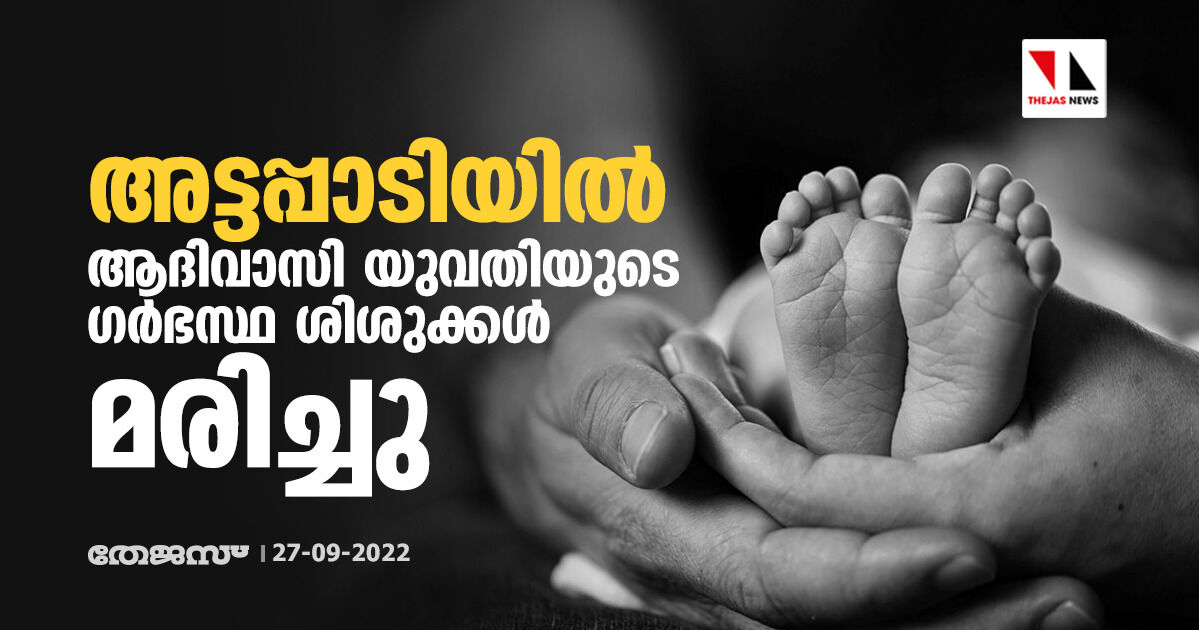 അട്ടപ്പാടിയിൽ ആദിവാസി യുവതിയുടെ ഗർഭസ്ഥ ശിശുക്കൾ മരിച്ചു