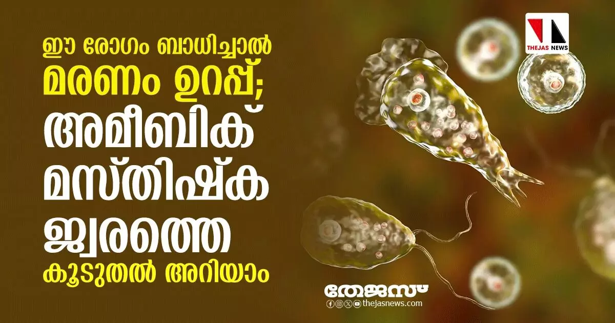 ഈ രോഗം ബാധിച്ചാല്‍ മരണം ഉറപ്പ്; അമീബിക് മസ്തിഷ്‌ക ജ്വരത്തെ കൂടുതല്‍ അറിയാം