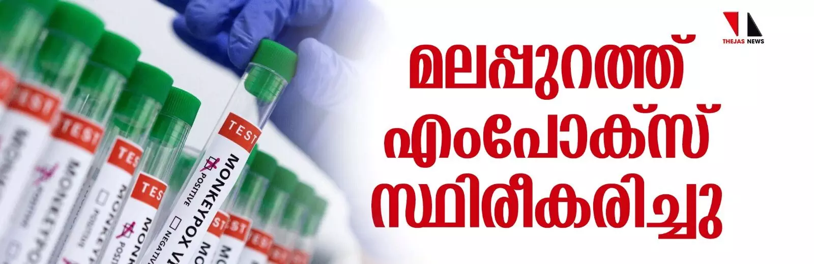 മലപ്പുറത്ത് എംപോക്‌സ് സ്ഥിരീകരിച്ചു; രോഗം ദുബയില്‍ നിന്ന് വന്ന യുവാവിന്