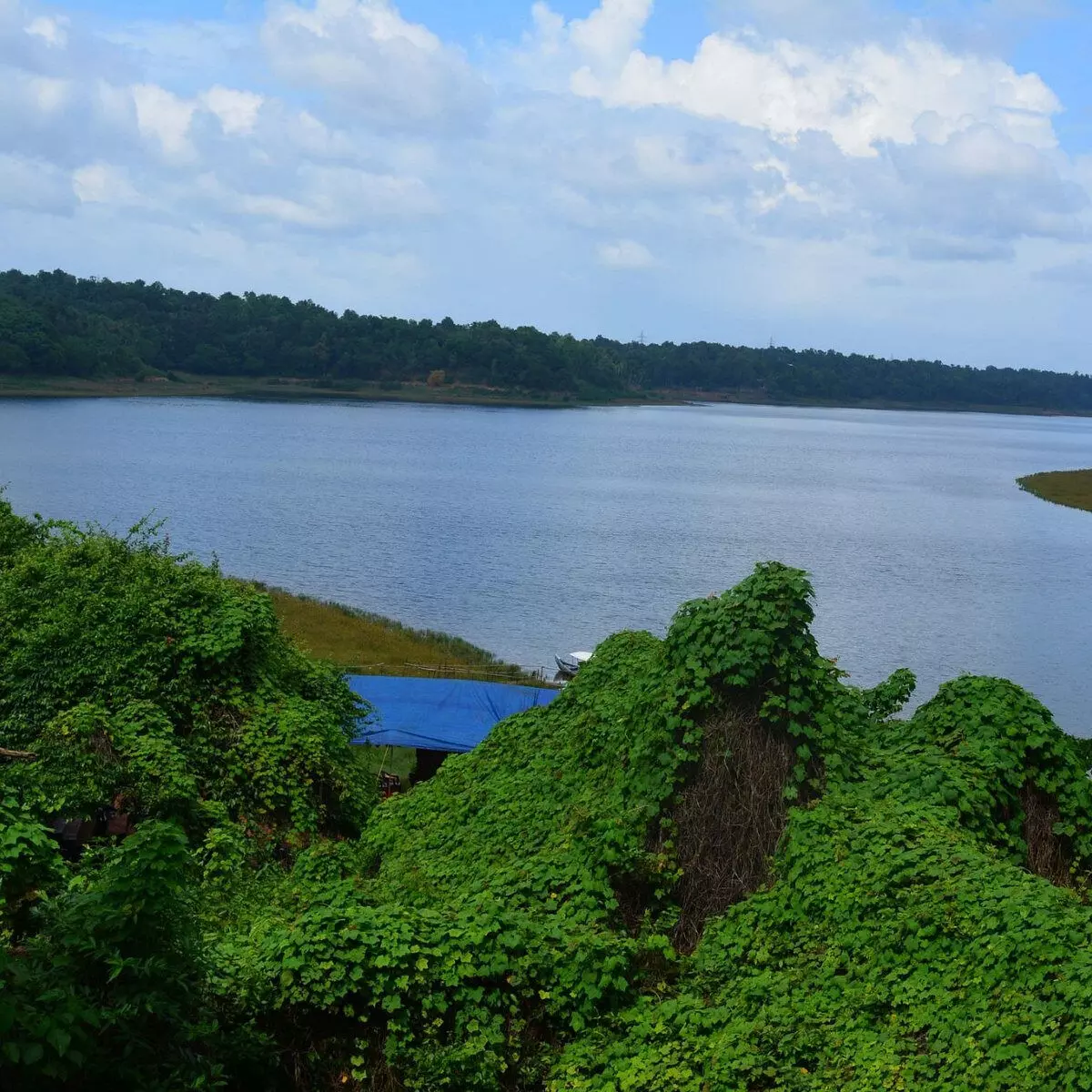 കൊല്ലത്ത് കാണാതായ വിദ്യാര്‍ഥികളെ മരിച്ച നിലയില്‍ കണ്ടെത്തി