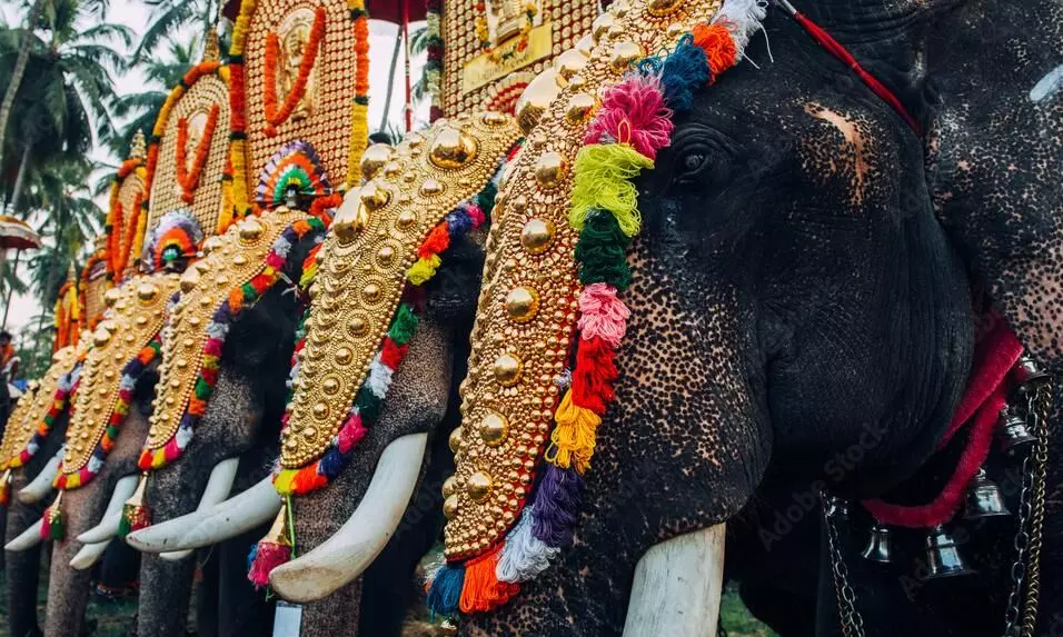 സ്വകാര്യ ചടങ്ങുകള്‍ക്ക് ആനയെ ഉപയോഗിക്കരുത്; ആന എഴുന്നള്ളിപ്പില്‍ കര്‍ശന നിയന്ത്രണങ്ങളുമായി അമിക്കസ് ക്യൂറി