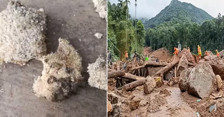 ചൂരല്‍മലയിലെ ഭക്ഷ്യ വസ്തുക്കളില്‍ പുഴു; അന്വേഷണം നടത്താന്‍ നിര്‍ദേശം നല്‍കി കലക്ടര്‍