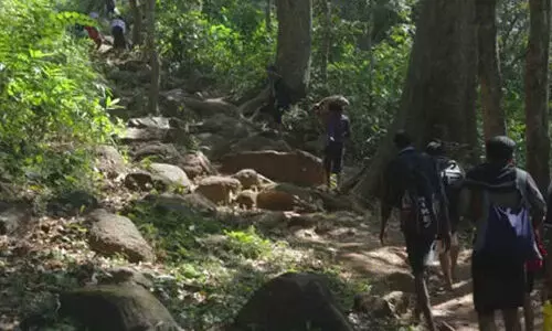 കനത്തമഴ: ശബരിമലയിലെ രണ്ട് കാനന പാതകളിലെ കാല്‍നട യാത്രക്ക് നിരോധനം