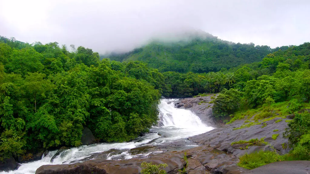 ആഢ്യന്‍പാറയില്‍ നാല് വയസുകാരന്‍ വെള്ളച്ചാട്ടത്തിലേയ്ക്ക് വീണു; കുട്ടിയെ രക്ഷിച്ച് ലൈഫ് ഗാര്‍ഡ്