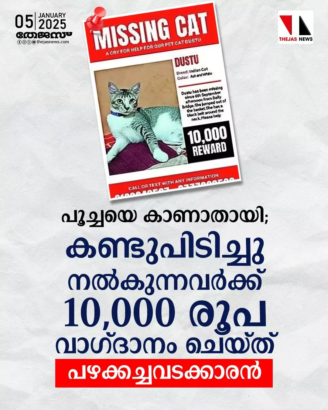 പൂച്ചയെ കാണാതായി; കണ്ടുപിടിച്ചു നല്‍കുന്നവര്‍ക്ക് 10,000 രൂപ വാഗ്ദാനം ചെയ്ത് പഴക്കച്ചവടക്കാരന്‍